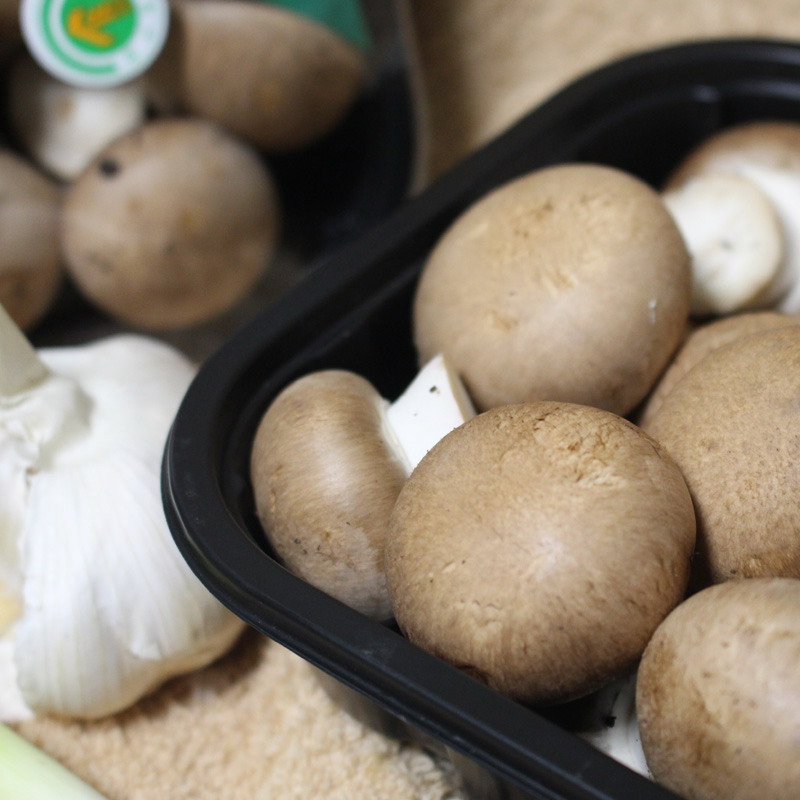 XPJ·娱乐(中国游)官方网站