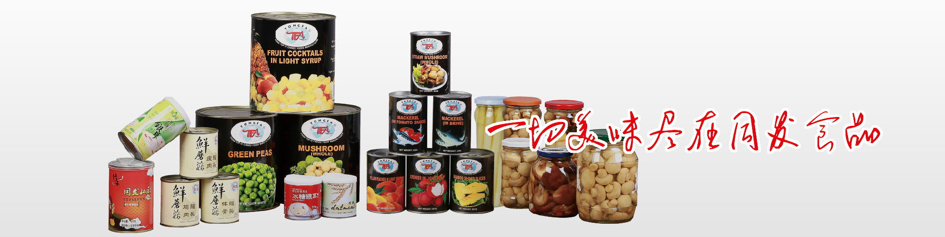 XPJ·娱乐(中国游)官方网站